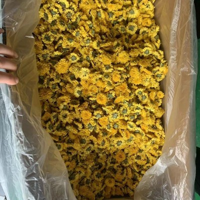 菊花茶徽州皇菊婺源黄山级贡菊散装花茶大枸杞胎菊金银花贡菊茶叶图4