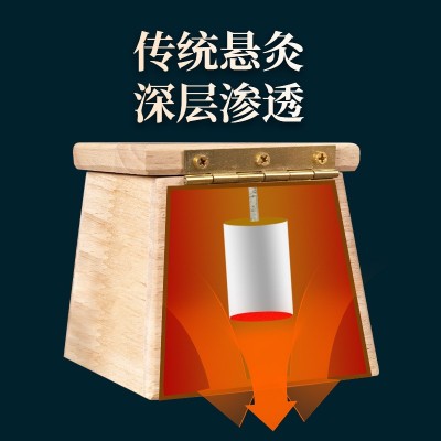 实木艾灸盒手柄控温牛角扣针式防漏灰随身灸家用艾熏腰腹部艾柱盒图2