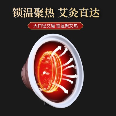 抖音同款艾灸盒艾美灸三针家用腰腹部随身灸美容院艾柱熏 盒宫廷灸图2