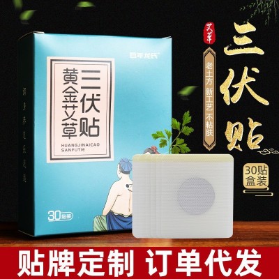 三伏贴国药集团天目湖家用艾草艾灸贴温灸帖伏湿穴位贴厂家批发图5