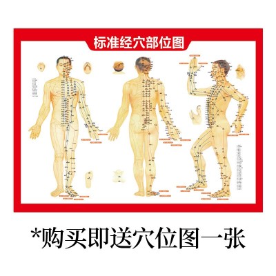 艾草三伏贴香港九龙大药房冬病夏治30贴/盒送穴位图批发灸敷贴图3
