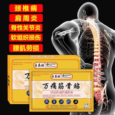 电商热卖万痛筋骨贴膏药跑江湖摆地摊便宜产品会销小礼品自发热贴图4