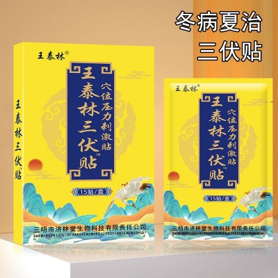 王泰林三伏贴穴位膏药贴三九贴跑江湖会销地摊货电商社区一件代发图3