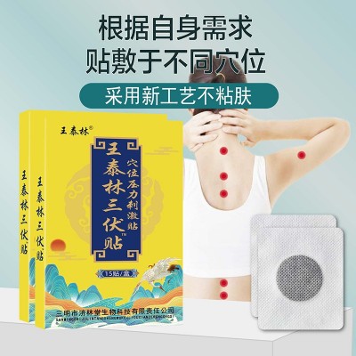 王泰林三伏贴穴位膏药贴三九贴跑江湖会销地摊货电商社区一件代发图2