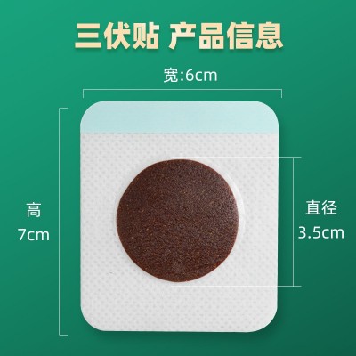 源头厂家三伏贴儿童成人蜂蜜穴位贴发热三伏灸保健艾草小儿膏贴图2