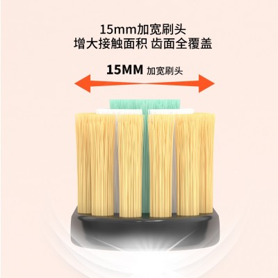 成人宽头牙刷3只装 盒装高级家用简约清洁三支装大头软毛牙刷批发图2