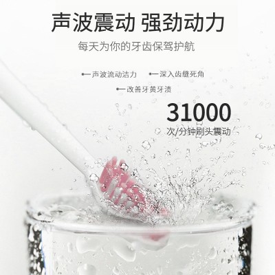 电池便携超声波电动牙刷情侣套装男女成人款非充电式超全自动图2