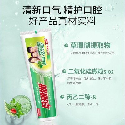 草珊瑚228克精品中药牙膏90g厂家直批超大实惠家庭装冰爽留兰香型图2