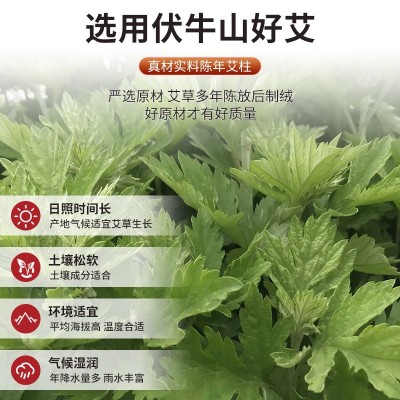五年陈纯手工艾叶艾草艾条柱厂家陈年纯艾随身灸艾罐用54柱艾灸柱图4