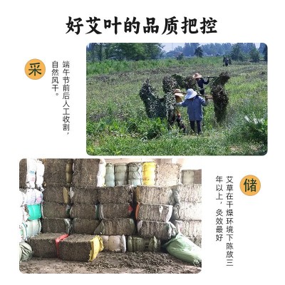 湖北蕲春500g艾叶干艾草三年陈散装端午艾叶艾蒿泡脚泡澡 艾草叶图4
