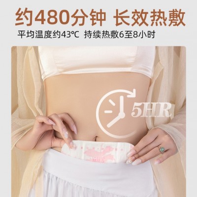 厂家批发蕲艾灸贴发热贴艾草温灸贴艾叶宫暖贴发热贴养宫暖腹贴图2