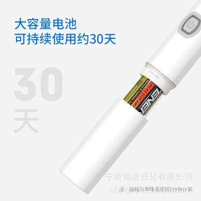 源头工厂新款电动牙刷成人款牙刷一档清洁口腔电池款厂家直销批发图3