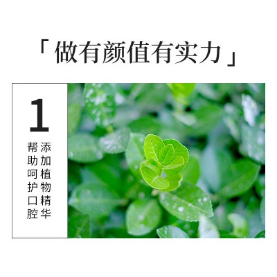 黑妹旅游小牙膏洁白冰凉酒店宾馆客房一次性洗漱用品批发17g图2