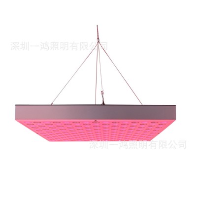 深圳工厂供应跨境电商45W理疗灯 红外线理疗灯 225颗灯珠理疗灯图4