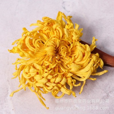 金丝皇菊罐装20g大朵菊花茶一朵泡一杯批发花茶量大从优贡菊胎菊图2