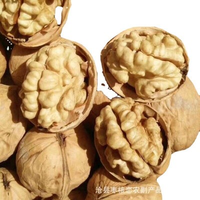 厂家批发185核桃新疆特产纸皮核桃原味生核桃整箱20斤批发图5