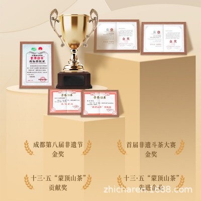 知茶人浓香耐泡型茉莉花茶2023新茶飘雪四川蒙顶山绿茶叶500g散装图5