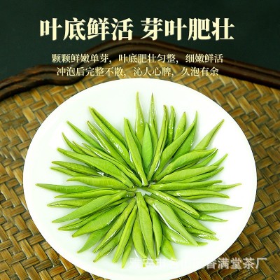 雀舌绿茶2023新茶叶四川蒙顶山毛尖茶新茶浓香型嫩芽雀舌散装500g图5