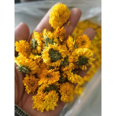 婺源黄菊 批发散装500g新货徽州黄菊花茶产地货源批发皇菊大黄菊图2