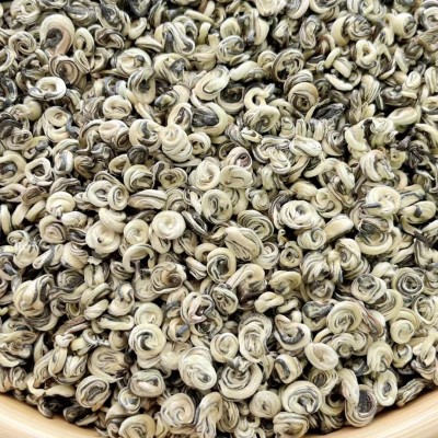 【玉螺王1号】24年广西横县茉莉花茶 浓香型玉螺王 茉莉白玉螺图3