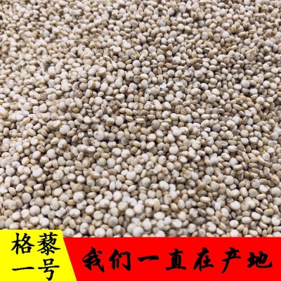 青海产地白藜麦500g 五谷杂粮散装藜麦健身代餐粗粮米现货批发图5