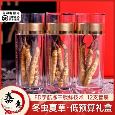 嘉意 冬虫夏草 佳节送礼虫草批发12支管装礼盒 头茬优选冻干虫草图4
