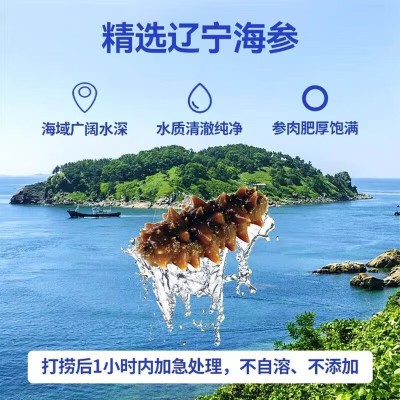 脑白金 海参营养液（营养素饮料） 250ml/盒图4