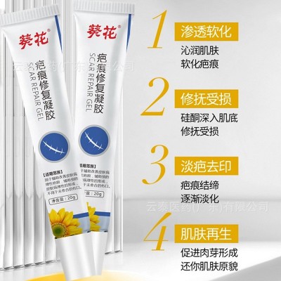 葵花疤痕修复凝胶改善皮肤病理性疤痕外用凝胶批发一件代发20g/支图2