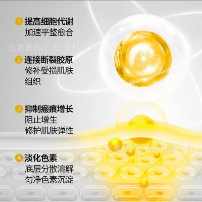 葵花疤痕修复凝胶改善皮肤病理性疤痕外用凝胶批发一件代发20g/支图3