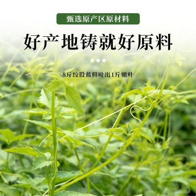 罐装150g绞股蓝茶代用茶批发七叶绞股蓝嫩芽养生花草茶绞股蓝茶图2