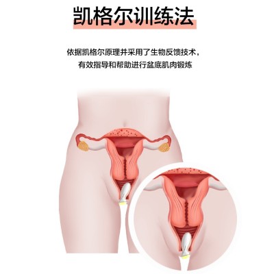 讯丰通凯格尔盆底肌康复训练仪检测治疗产后阴道松弛漏尿修复仪图2