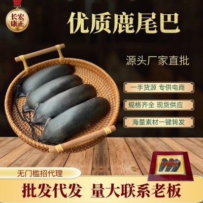 鹿尾巴干工厂直发整支干鹿尾整只吉林东北特产新鲜鹿鞭鹿尾骨煲汤图3