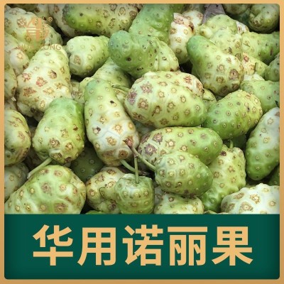 海南诺丽复合酵素 厂家源头货源 工厂可参观 诺丽果酵素 可取样图5