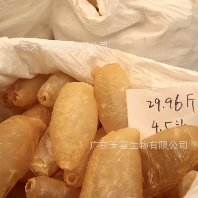 印尼深海甲肚鱼胶筒花胶干货花胶甲肚花胶蜘蛛胶赤嘴鱼胶质丰富图3
