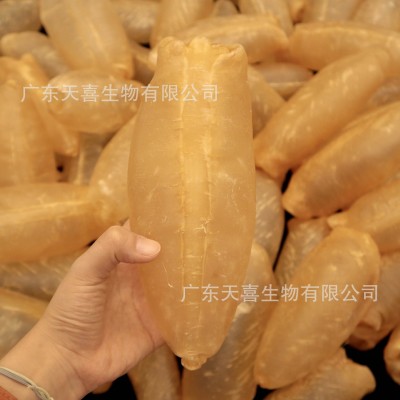 印尼深海甲肚鱼胶筒花胶干货花胶甲肚花胶蜘蛛胶赤嘴鱼胶质丰富图4