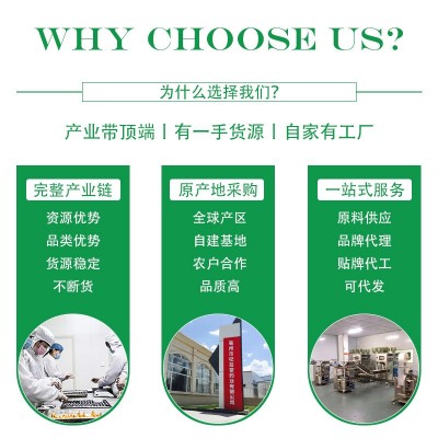 杞芸堂工厂货源规格齐全黑枸杞青海基地直供花青素枸杞花茶原料图4
