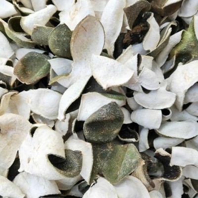 杞芸堂工厂货源规格齐全四花青皮三花橘皮陈皮含量足青柑橘大二红图5