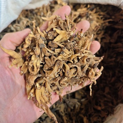 手掌参西藏特产 佛手参 手儿参 中药材批发 规格齐全 量大从优图4