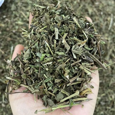 薄荷 中药材 薄荷新货 中药材批发薄荷图4