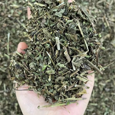 薄荷 中药材 薄荷新货 中药材批发薄荷图2