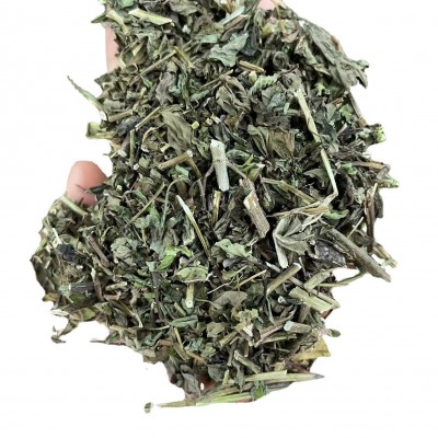 薄荷 中药材 薄荷新货 中药材批发薄荷图5
