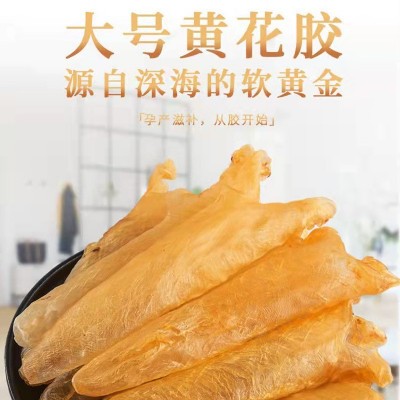 海味干货深海黄花阿胶鱼肚鱼鳔孕补批发滋补送礼北海筒鱼胶图2