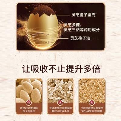 博客健破壁灵芝孢子粉胶囊蓝帽【增强免疫力】增强免疫力批发图3