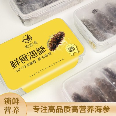 鲜食海参批发冰鲜大连辽参刺参源头工厂批发代发海参450g礼盒装图2