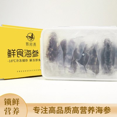 鲜食海参批发冰鲜大连辽参刺参源头工厂批发代发海参450g礼盒装图5