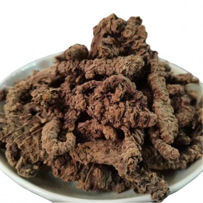 蜘蛛香供应中药材批发光蜘蛛香各种规格大货承接订单招代理图2