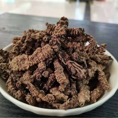 蜘蛛香供应中药材批发光蜘蛛香各种规格大货承接订单招代理图4