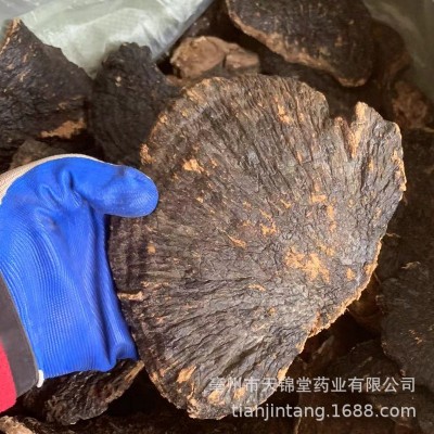 批发 云南 薄树灵芝 薄树芝 薄盖大灵芝 薄树层孔菌 黑块灵芝片图3