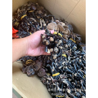 竹灵芝 黑灵芝 整枝散装扎把 长腿小灵芝 长颈灵芝产地批发紫灵芝图3