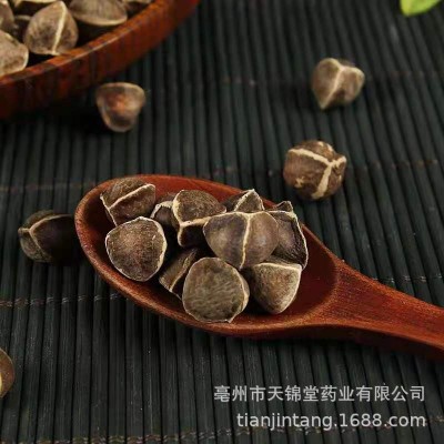 批发供应辣木籽 印度辣木籽 大中小粒 产地货源 量大价优图2